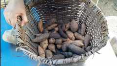 20131124 Organic Farm45